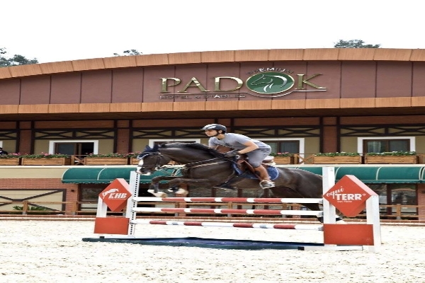 Padok Premium Hotel and Stables (Gökova)